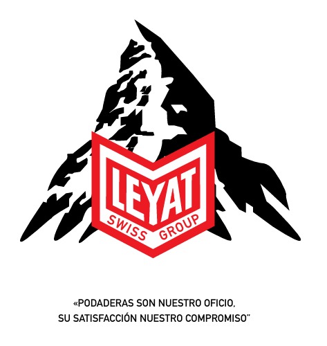 WhatsApp Image 2026-01-17 at 2.32.17 PM