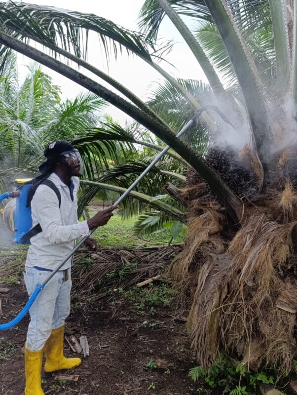 WhatsApp Image 2026-01-20 at 16.39.26 (1)