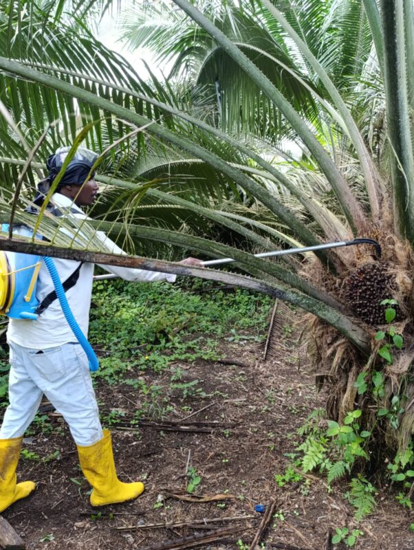 WhatsApp Image 2026-01-20 at 16.39.26